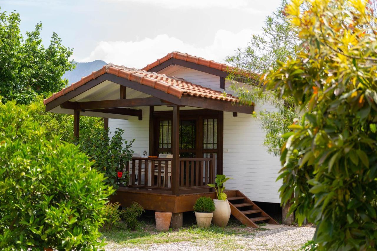 Kimera - Akdeniz Bahcesi Apart Hotel Çıralı Exteriér fotografie