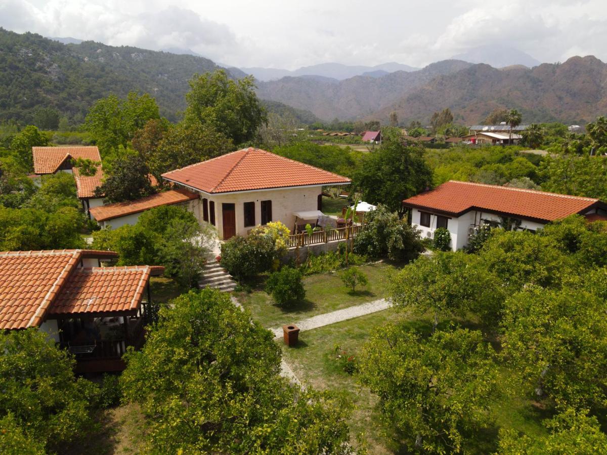 Kimera - Akdeniz Bahcesi Apart Hotel Çıralı Exteriér fotografie