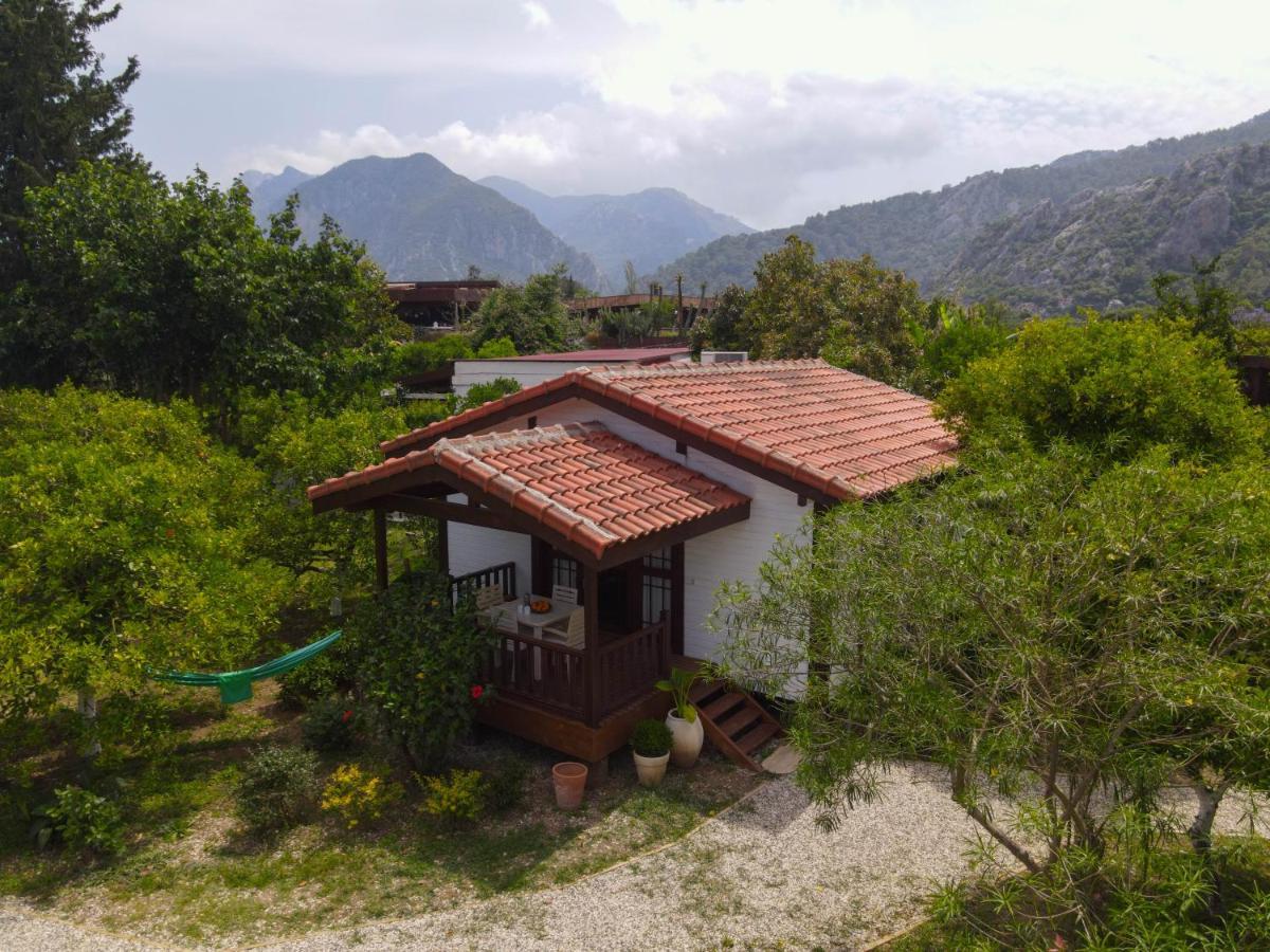 Kimera - Akdeniz Bahcesi Apart Hotel Çıralı Exteriér fotografie