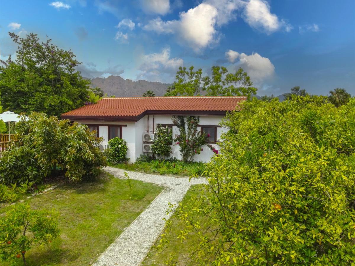 Kimera - Akdeniz Bahcesi Apart Hotel Çıralı Exteriér fotografie