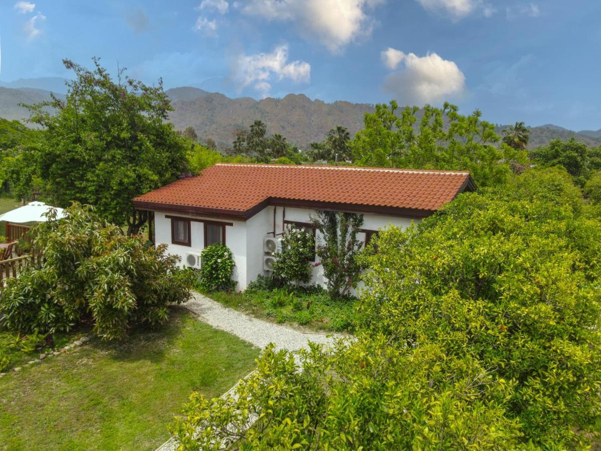 Kimera - Akdeniz Bahcesi Apart Hotel Çıralı Exteriér fotografie